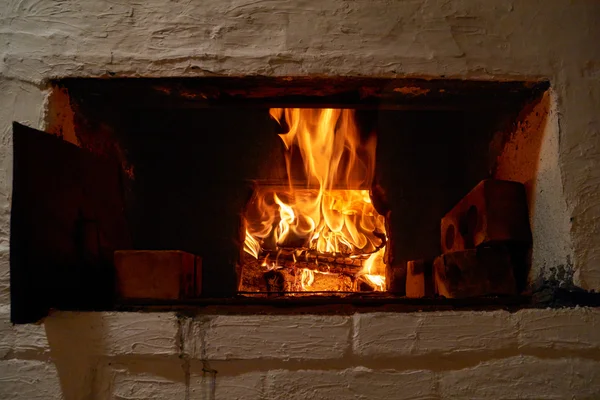 Florestas em chamas no forno — Fotografia de Stock