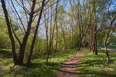 Patika üzerinde yürüme