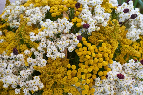 Belo arranjo de flores — Fotografia de Stock