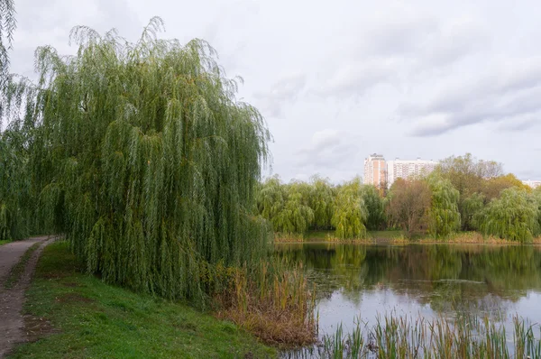 Blick auf Teich in Moskau — Stockfoto