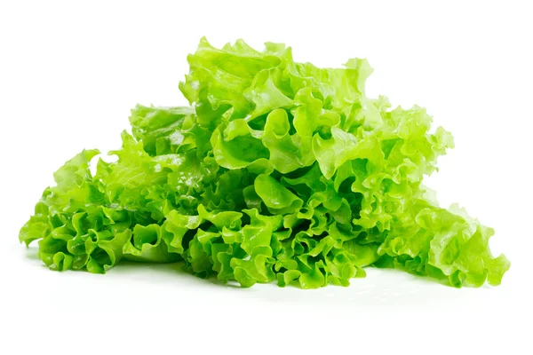 Bunch of lettuce — Stock Photo, Image