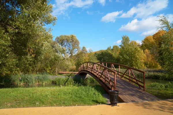 Ponte di legno sul piccolo fiume — Foto Stock