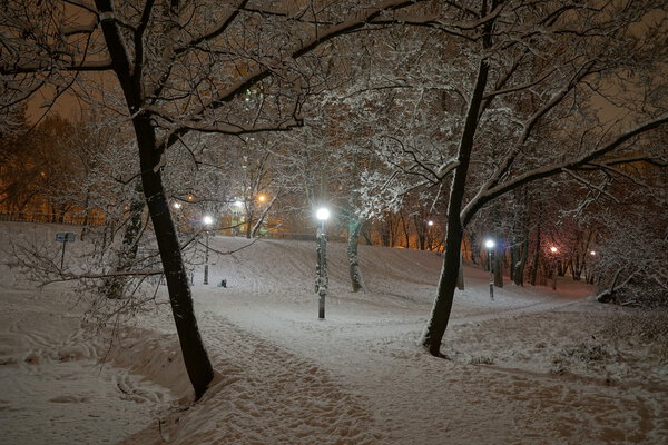 Winter night in one of the Moscow parks
