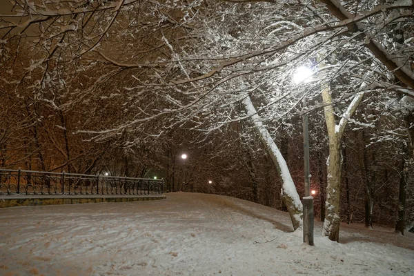 公園の冬の夜 — ストック写真