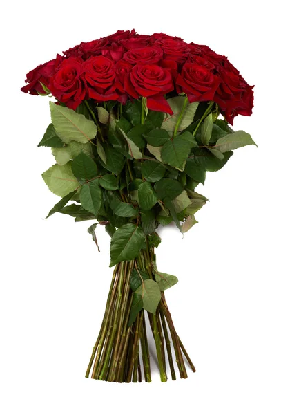 Bunch of roses — Stock Photo, Image