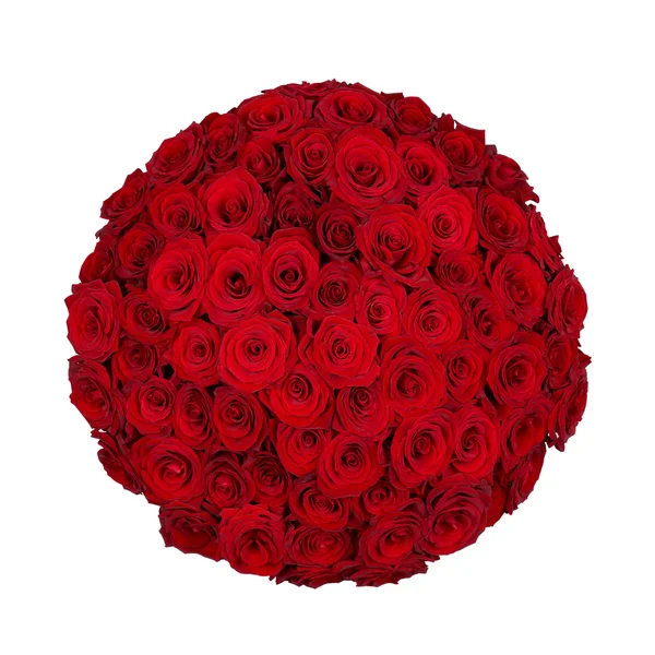 Seventy one roses — Stock Photo, Image