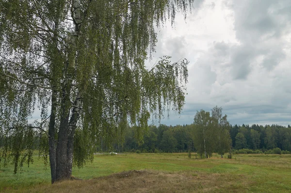 Trübe Aussichten — Stockfoto