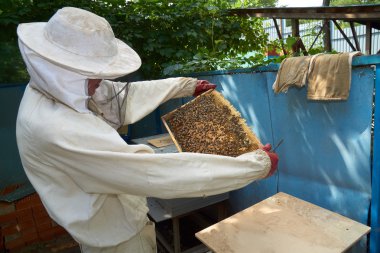 Arıcı çerçeve görünüyor