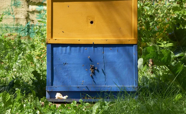 Colmena y abejas — Foto de Stock