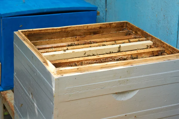 Открытый пчелиный улей — стоковое фото