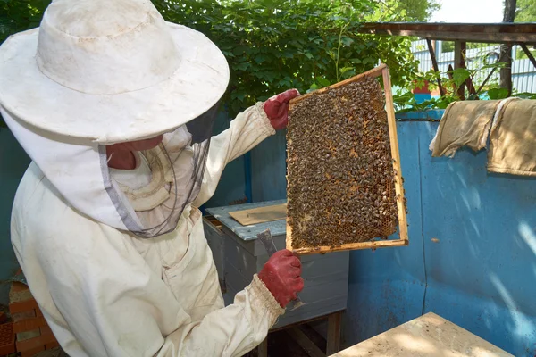 Пчеловод проверяет улей — стоковое фото