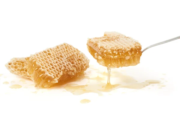 Мед на белом — стоковое фото