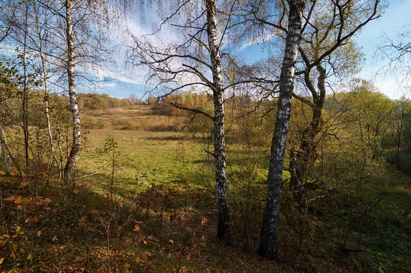 Hösten Visa på kullarna — Stockfoto