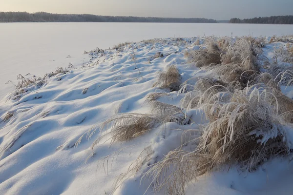 Hileras de invierno en primer plano — Foto de Stock