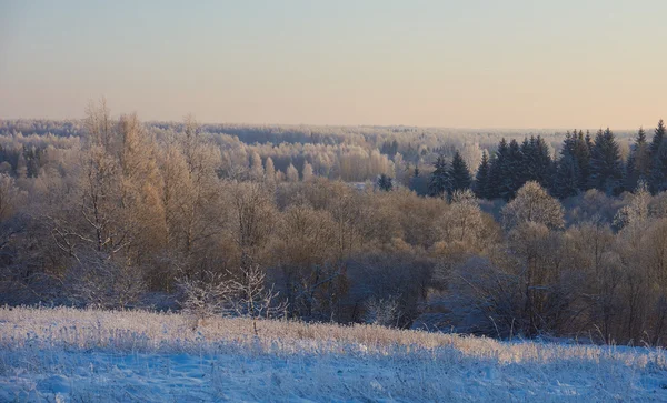 Verre uitzicht vanaf hill — Stockfoto