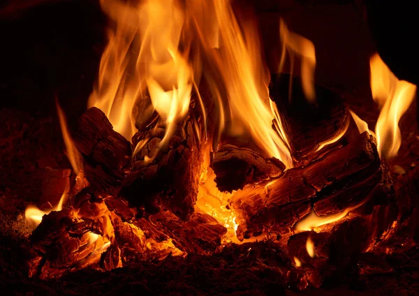 Florestas em chamas no forno — Fotografia de Stock