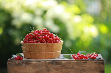 Bahçıvanlık ve tarım. Ahşap bir arka planda, ahşap bir tabakta olgun kırmızı frenk üzümü. Böğürtlen. Yaz günü, güneş ışığı. Arkaplan resmi, alanı kopyala