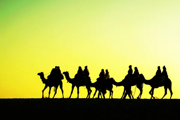 Σιλουέτες καμήλες στους αμμόλοφους στο ηλιοβασίλεμα — Φωτογραφία Αρχείου