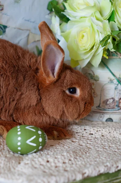 Ginger bunny sitting in vintage holiday Easter decor. Rustic and botanical style Painted eggs
