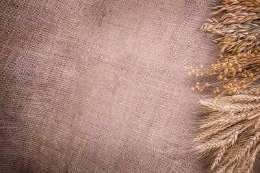 spikelets buğday Mısır keten çuval bezi