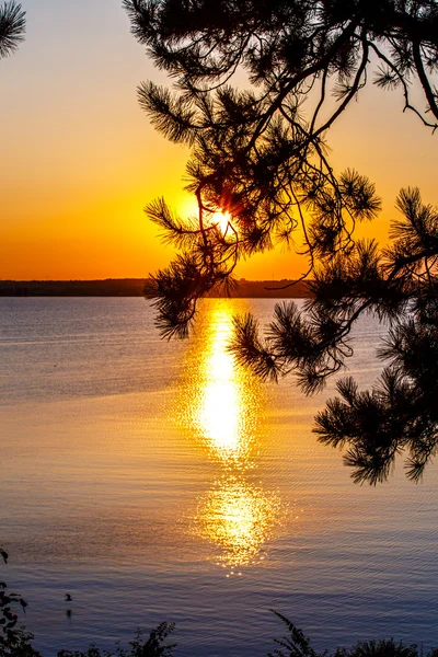 Sea landscape sunset — Stok Foto