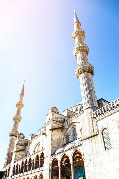 Mešita Sultan ahmet — Stock fotografie