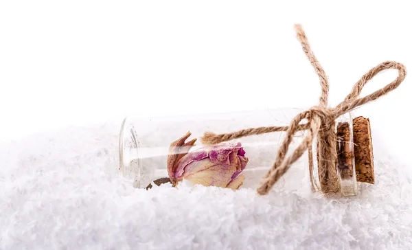 Botella de vidrio nieve —  Fotos de Stock