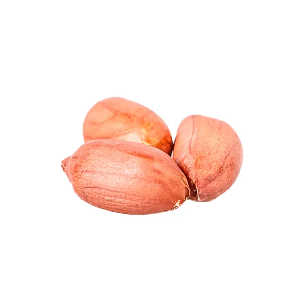 Amendoim isolado em um branco — Fotografia de Stock