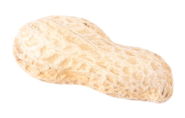 Amendoim isolado sobre um fundo branco — Fotografia de Stock