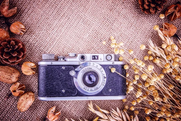 Retro photo camera wheat spikelets burlap — Stock Photo, Image