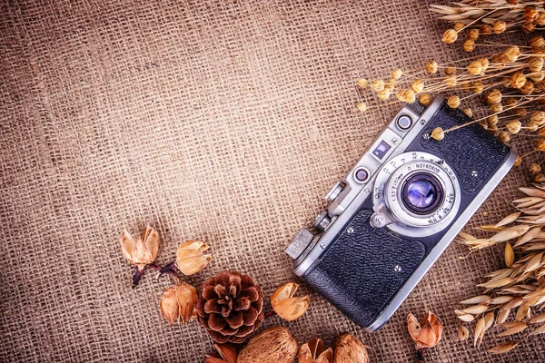 Retro foto camera tarwe spikelets jute — Stockfoto