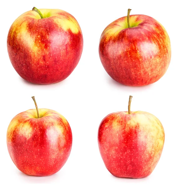 Red Apple set — Stock Photo, Image