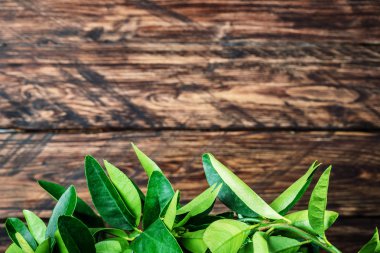 limon ağacına bir ahşap