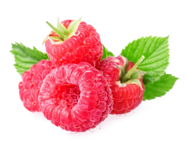 Raspberry isolated on white — Stock Photo, Image