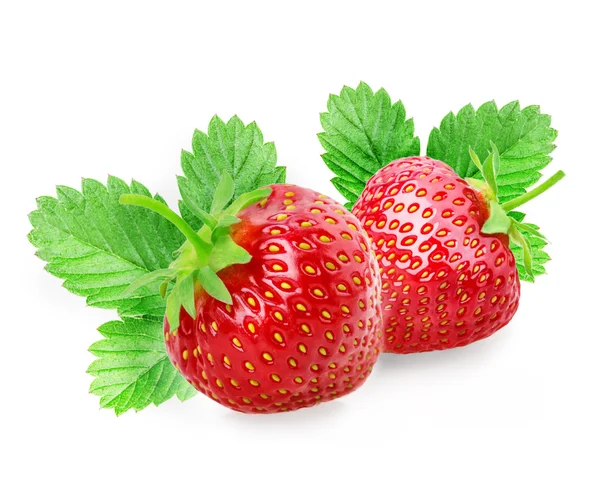 Red berry strawberry isolated on white background — Stock Photo, Image