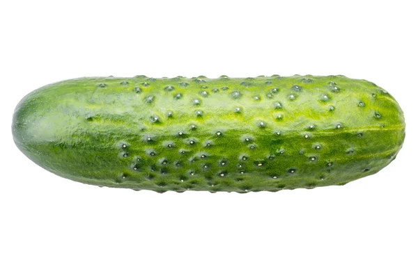 Cucumber isolated on white — Stock Photo, Image