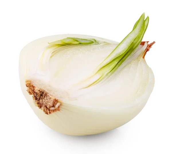 Onion isolated on white — Stock Photo, Image