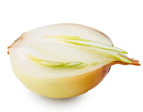 Onion isolated on white — Stock Photo, Image