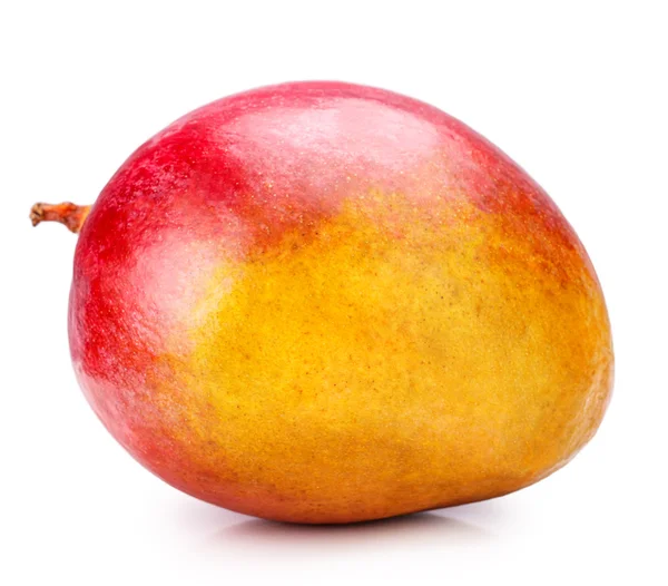 Mango geïsoleerd op wit — Stockfoto