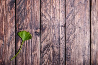 Ginkgo biloba bir tahta üzerinde