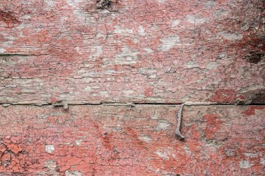 ahşap Komiteler arka plan dokusu