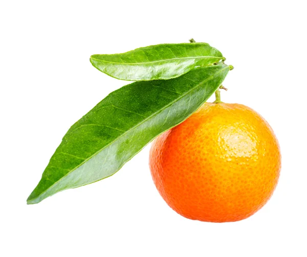 Mandarin isolert på hvitt – stockfoto