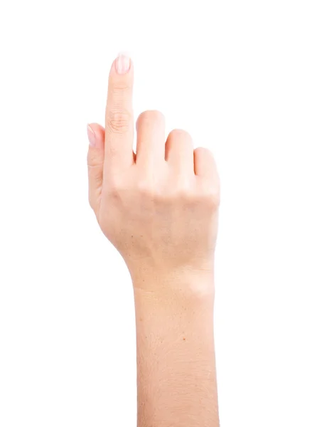Hand isolated on a white background — Stock Photo, Image