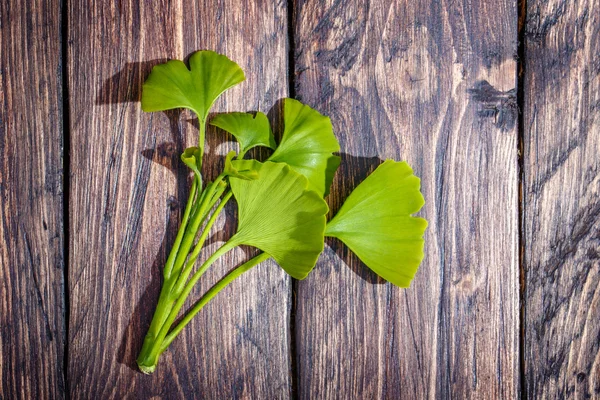 Ginkgo biloba auf einem hölzernen — Stockfoto