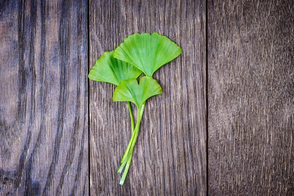 Ginkgo biloba em uma madeira — Fotografia de Stock