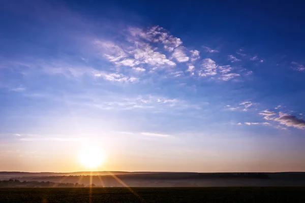 Veld dawn hemel — Stockfoto