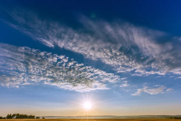 Tarwe veld landschap hemel — Stockfoto