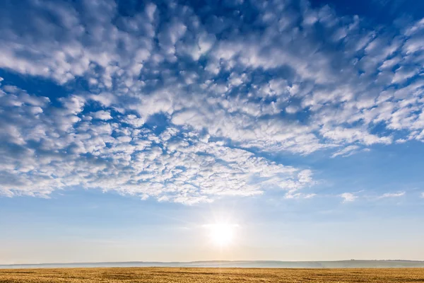 Tarwe veld landschap hemel — Stockfoto