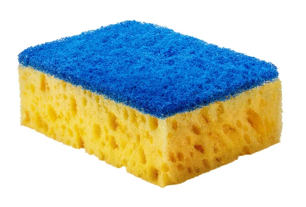 Sponge isolated on the white background — Stock Photo, Image
