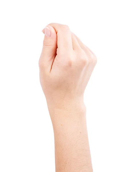 Hand isolated on a white background — Stock Photo, Image